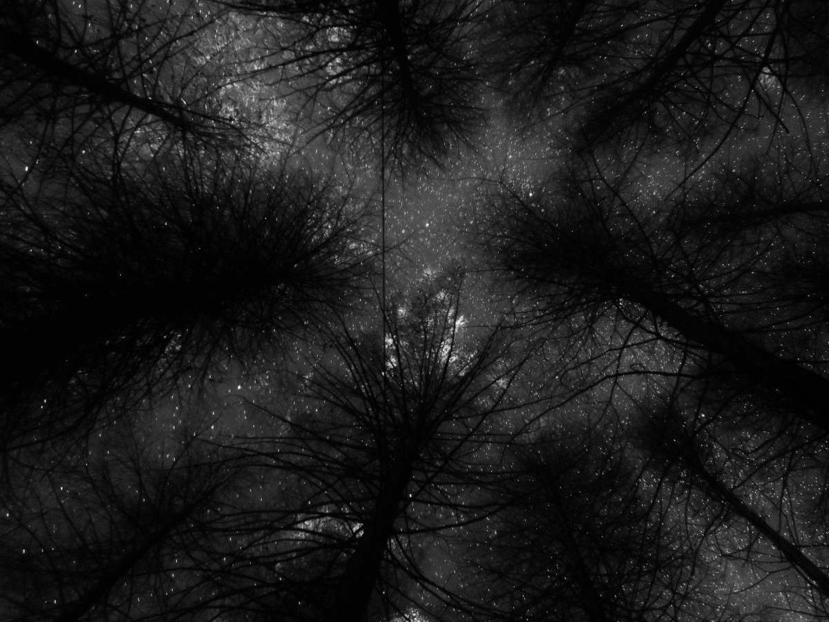 Week 6 – Italy,&nbsp;Switzerland