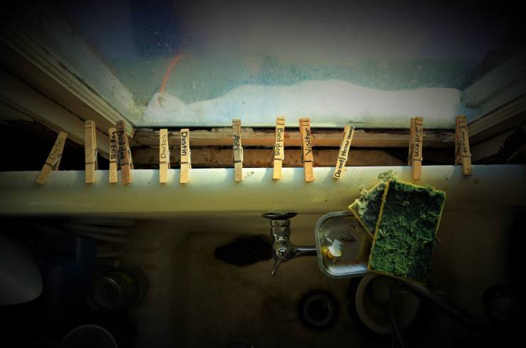 11057468_934600493241917_4376704271548297893_o