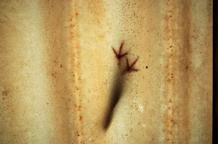 μονΕΝΑμονΕΝΑ