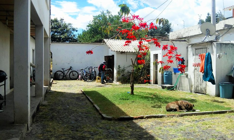 13866560_10153587769851432_153074275_n