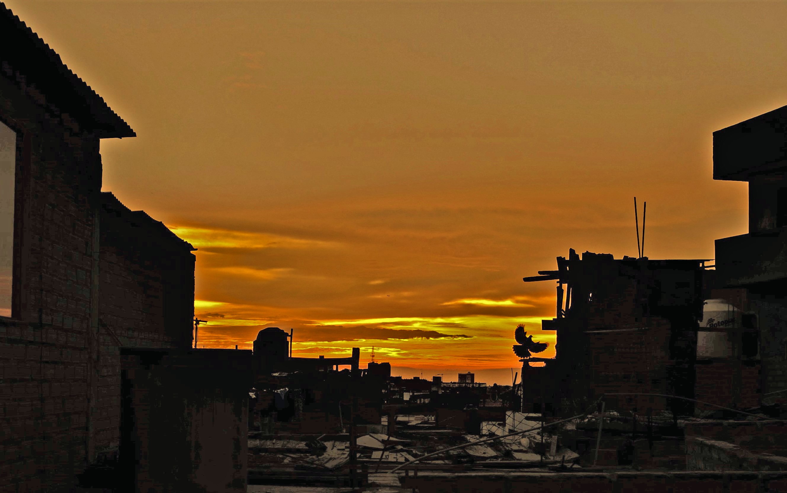 dsc_7439sideratostopoulishadowshylightsk