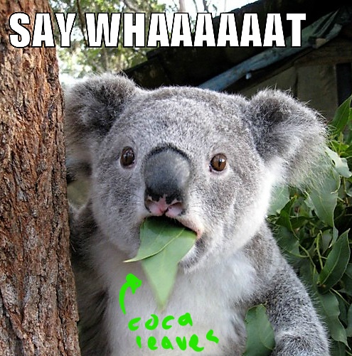 Inkedsay_whaaaaaaaaat_meme_by_therealfry1-d4r4vmu_LI