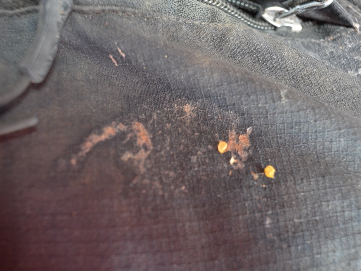 Μισή δική μου