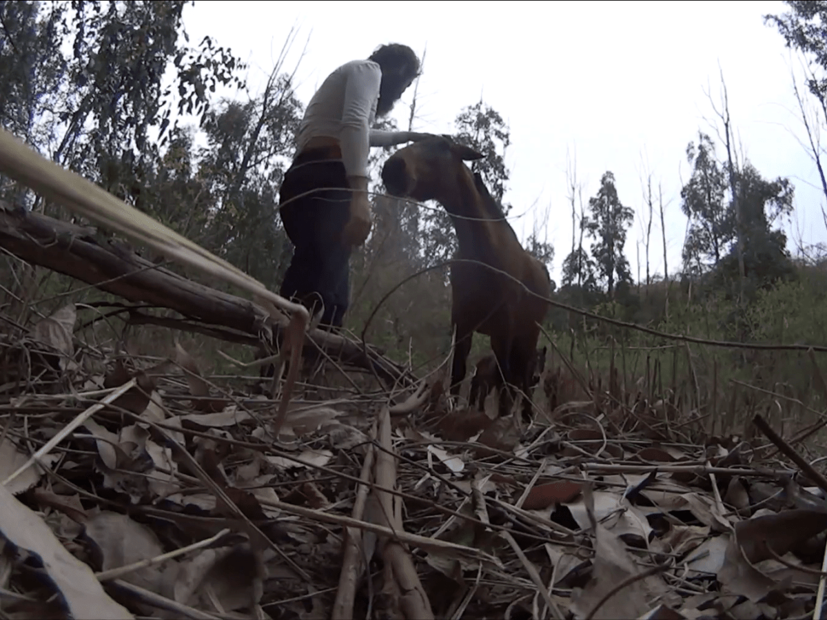 6 Ιουλίου 2017