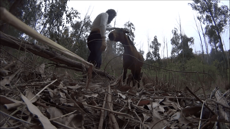 Screenshot_2019-03-07-16-13-49