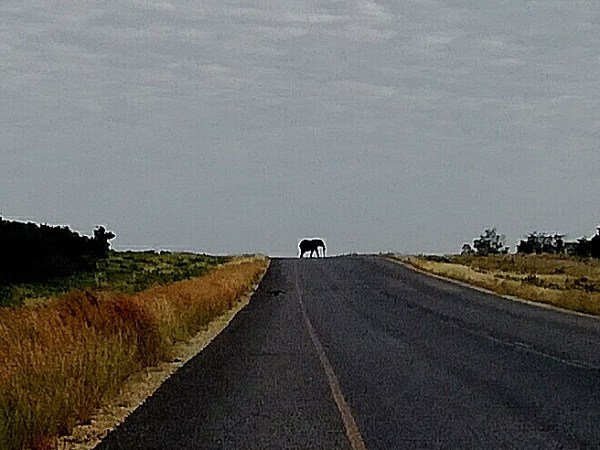 Nata – Kazungula + Livingstone (Victoria&nbsp;Falls)